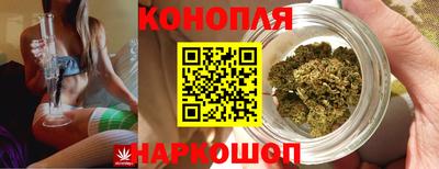 бошки Заводоуковск