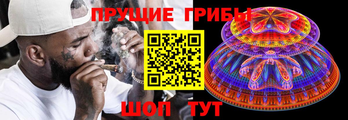 Галлюциногенные грибы Psilocybe  Псилоцибиновые грибы мицелий  Вход с VPN  Орёл 