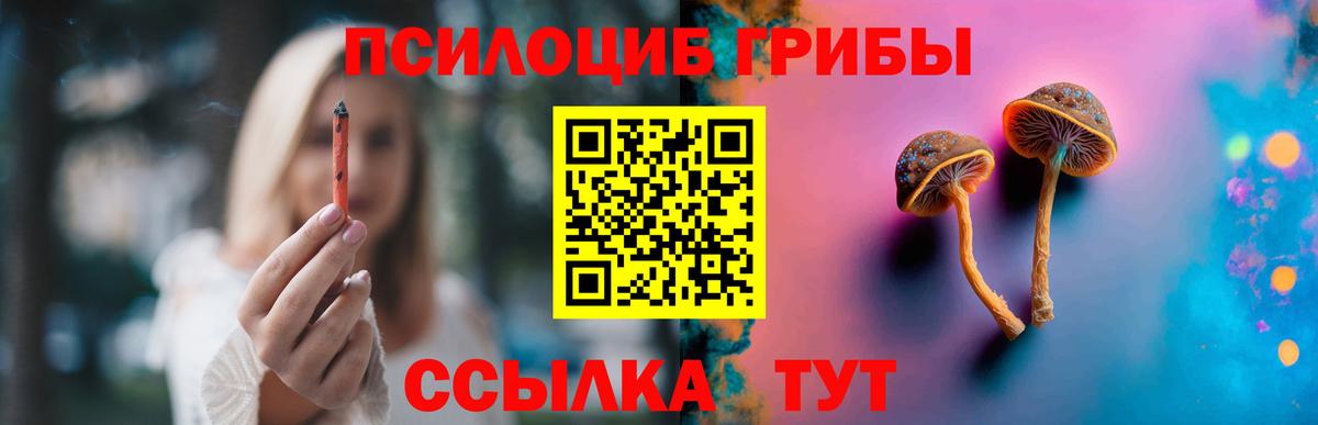 Псилоцибиновые грибы мицелий Орёл